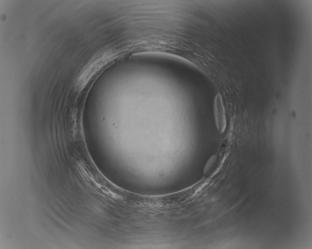 X0000053090194200507111206