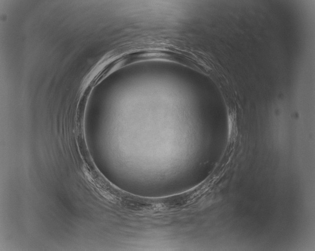 X0000053090195200507111206