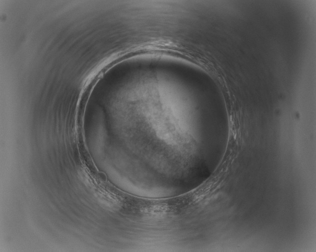 X0000053090196200507111206