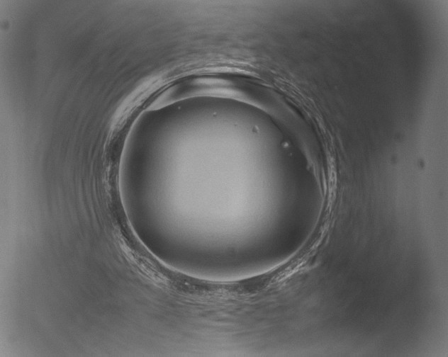 X0000053090197200507111206