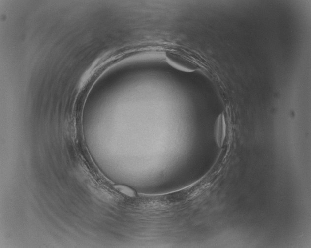 X0000053090198200507111206