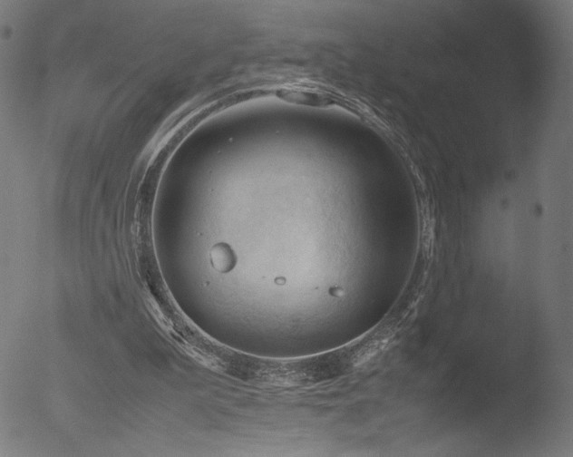 X0000053090199200507111206