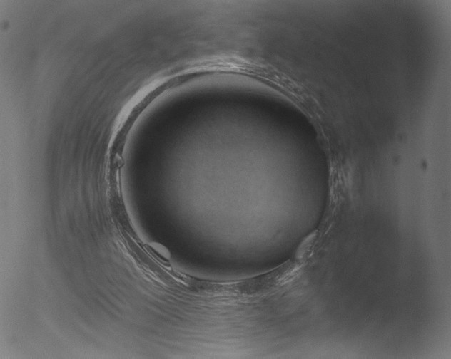 X0000053090200200507111206