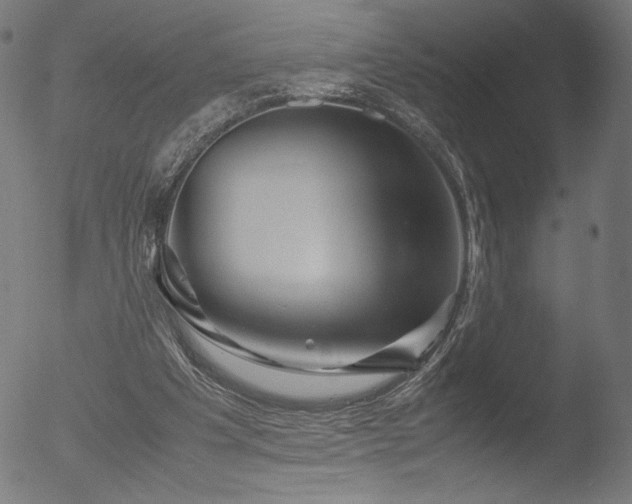 X0000053090201200507111206