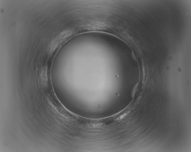 X0000053090202200507111206