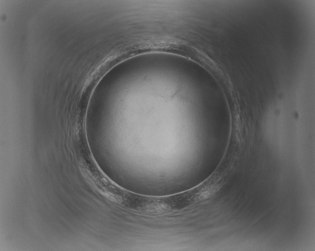 X0000053090203200507111206