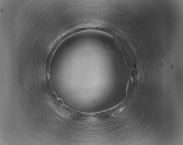 X0000053090204200507111206