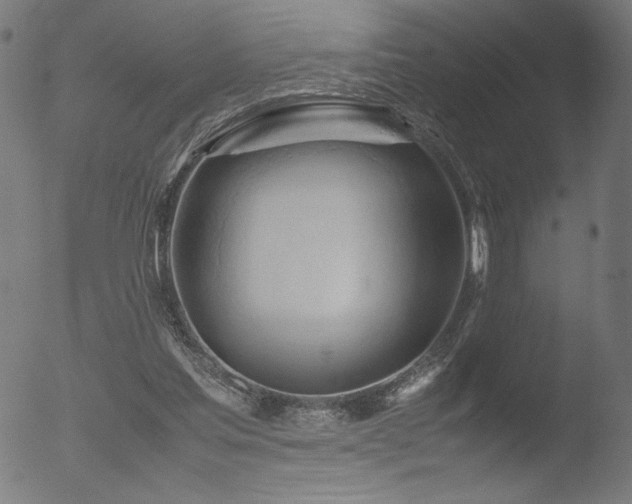 X0000053090205200507111206