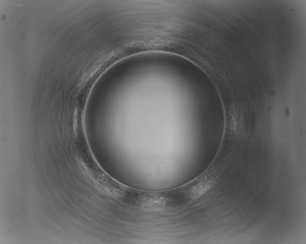 X0000053090206200507111206