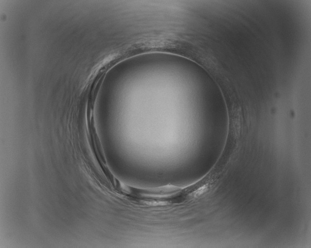 X0000053090207200507111206