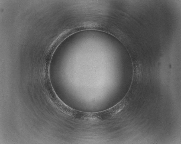 X0000053090208200507111206