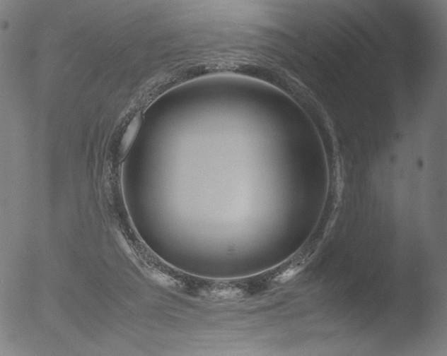 X0000053090209200507111206