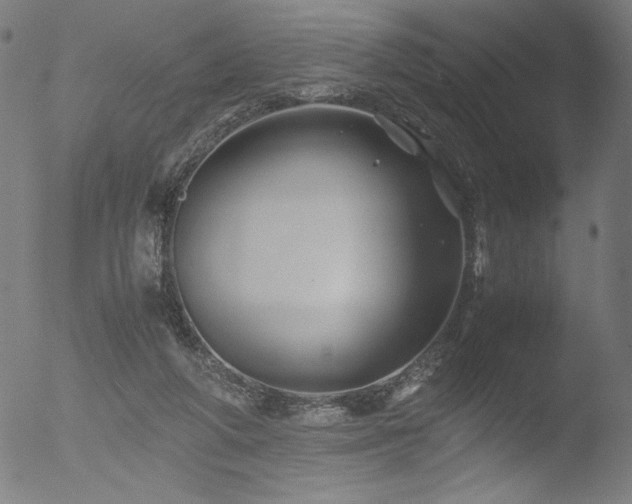 X0000053090210200507111206