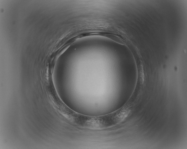 X0000053090211200507111206