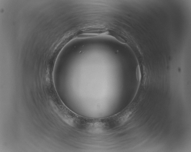 X0000053090212200507111206