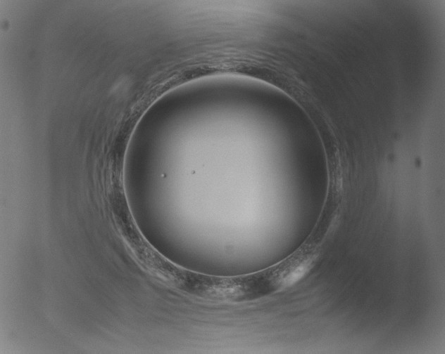 X0000053090213200507111206