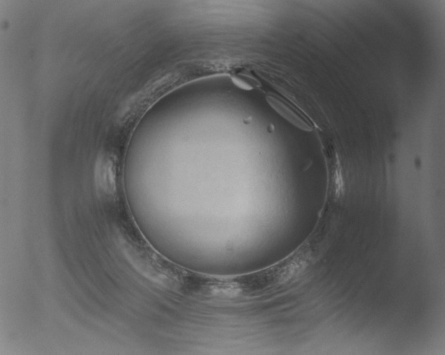 X0000053090214200507111206