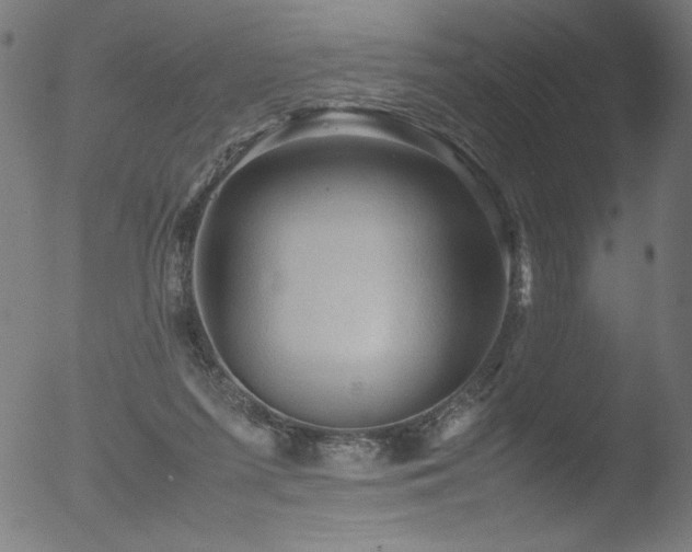 X0000053090215200507111206