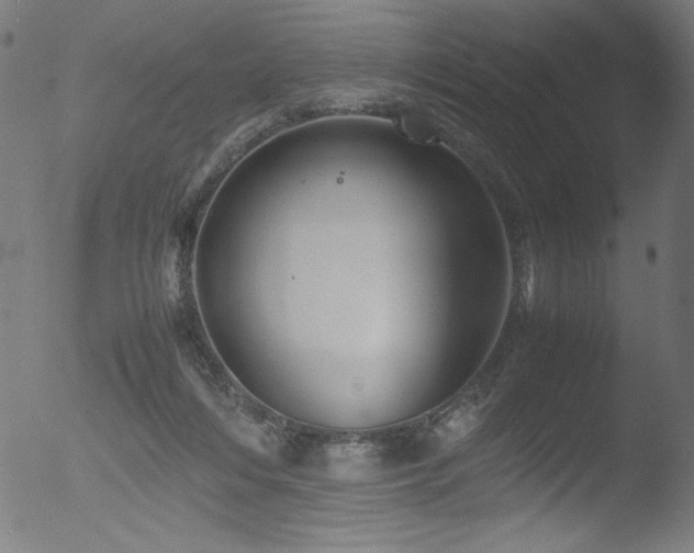 X0000053090216200507111206