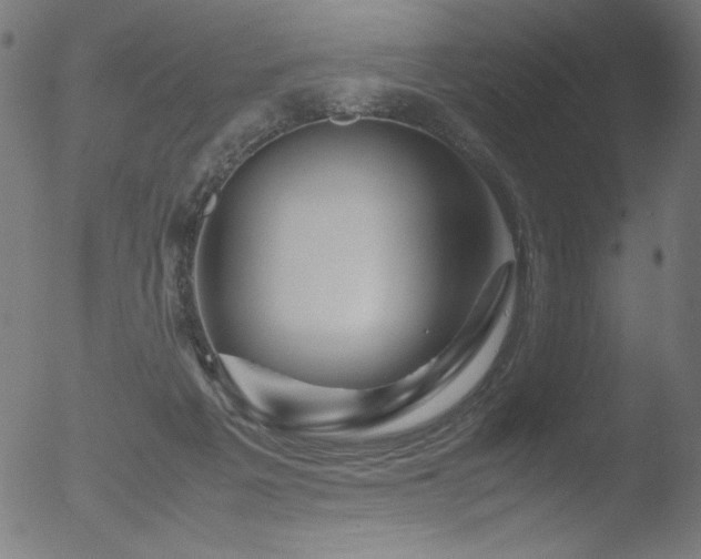 X0000053090217200507111206