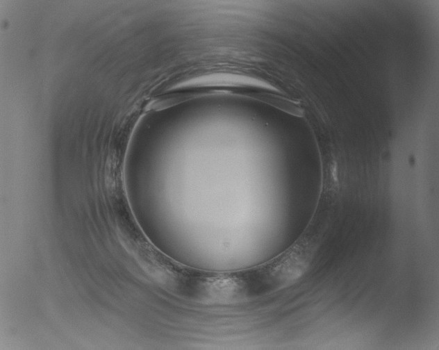 X0000053090218200507111206