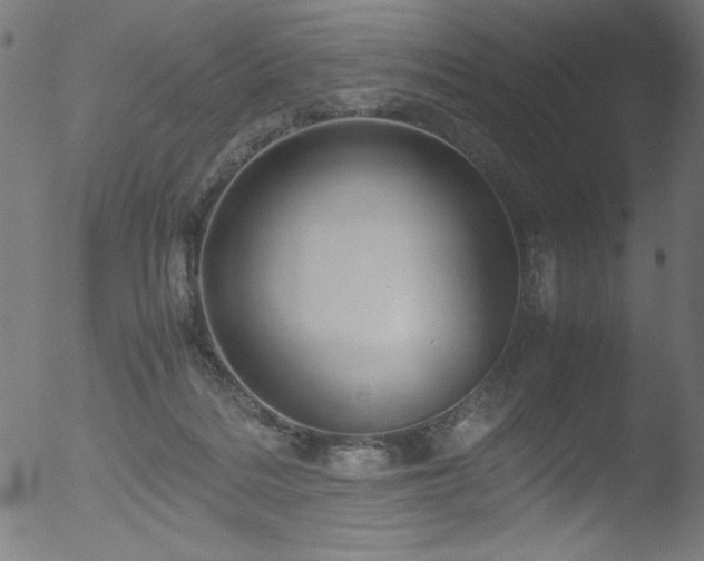 X0000053090220200507111206