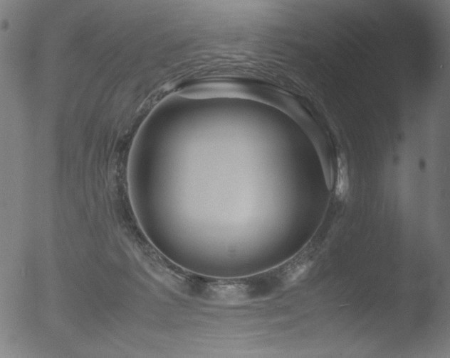 X0000053090221200507111206