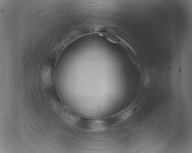 X0000053090222200507111206