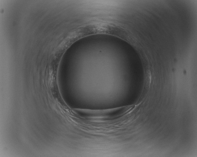 X0000053090223200507111206