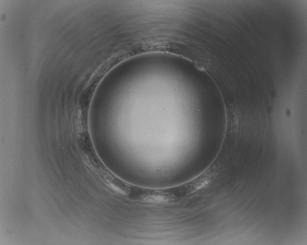 X0000053090224200507111206