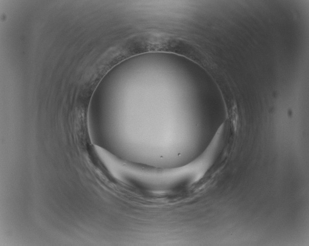 X0000053090225200507111206