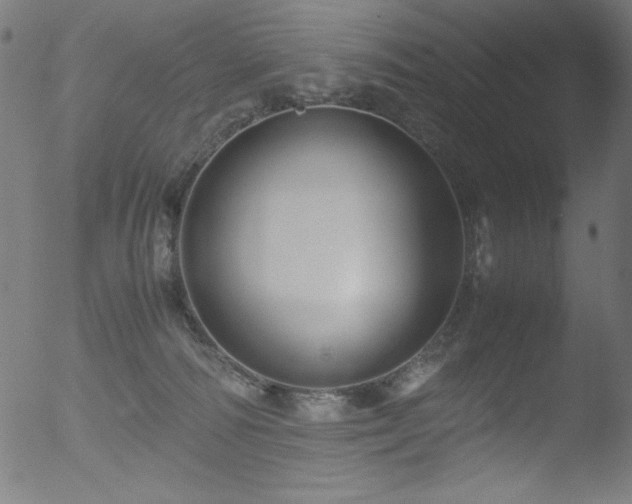 X0000053090226200507111206