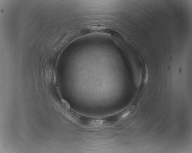 X0000053090227200507111206