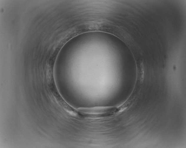 X0000053090228200507111206