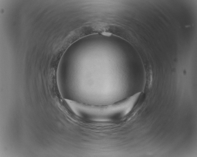 X0000053090229200507111206