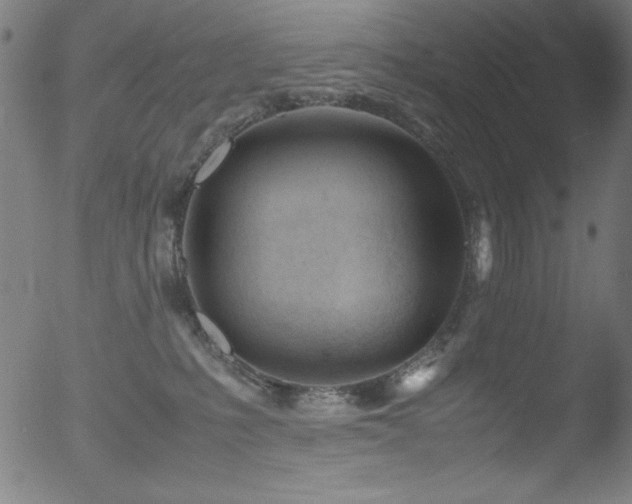 X0000053090231200507111206