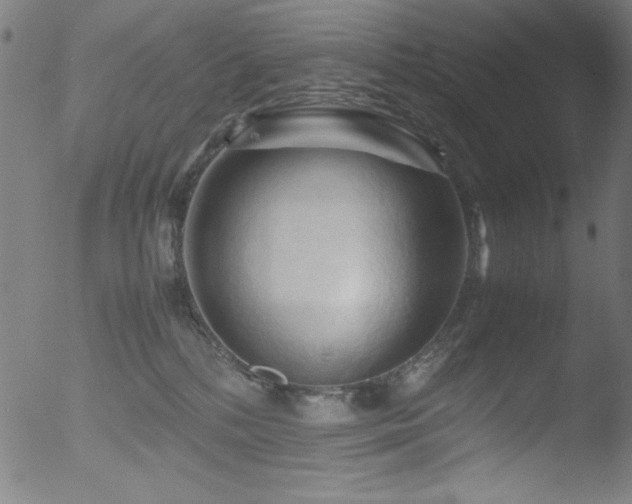 X0000053090232200507111206