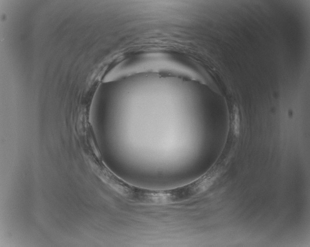 X0000053090233200507111205