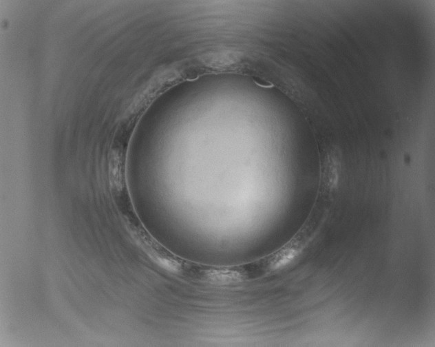 X0000053090234200507111205