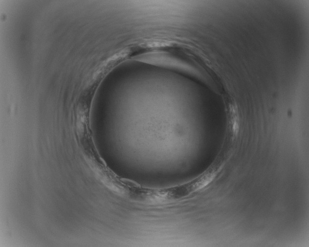 X0000053090235200507111205