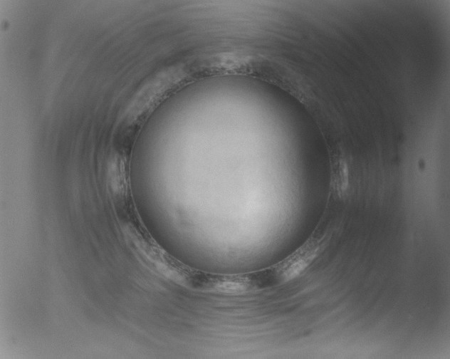 X0000053090236200507111205