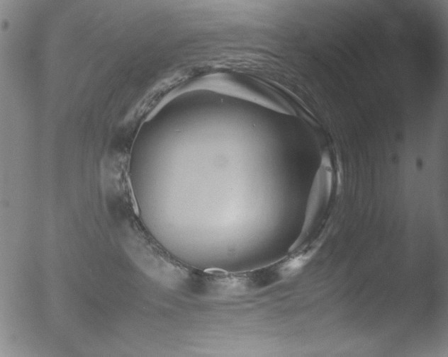 X0000053090237200507111205