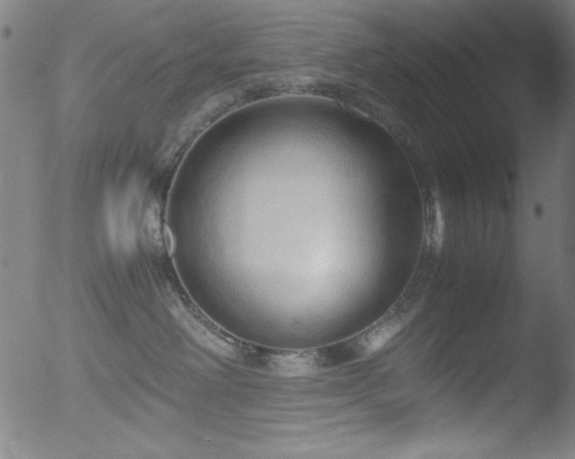 X0000053090238200507111205