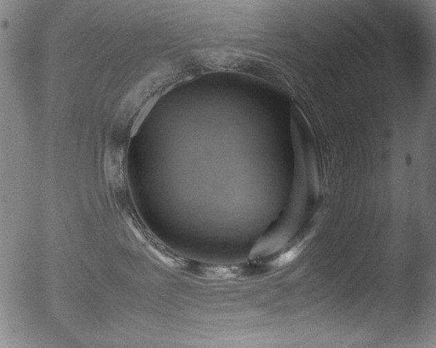 X0000053090239200507111205