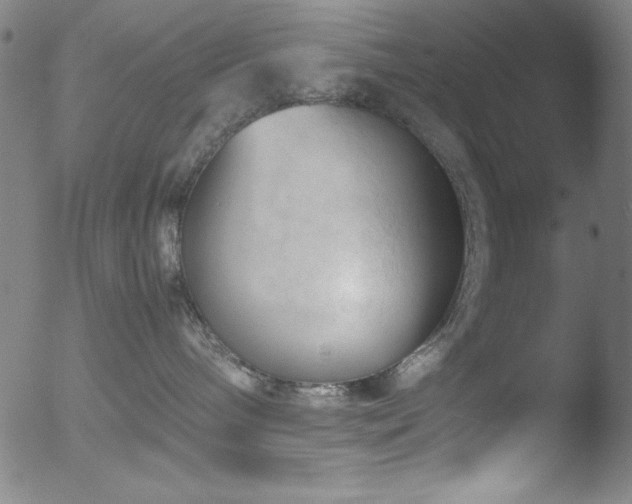 X0000053090240200507111205