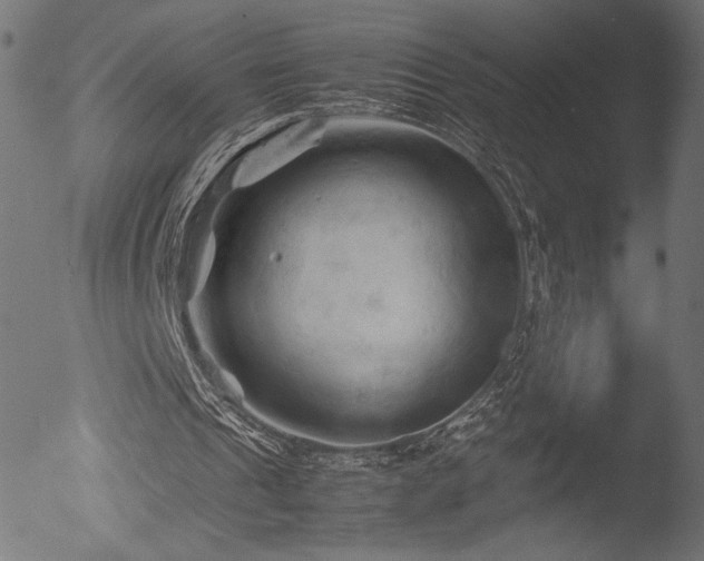 X0000053090241200507111205