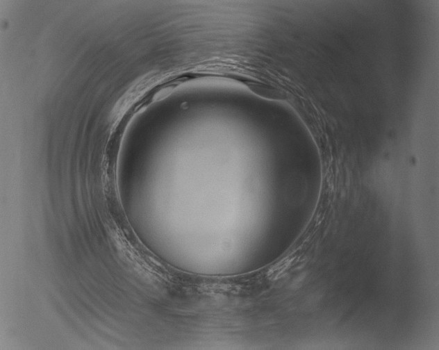 X0000053090242200507111205