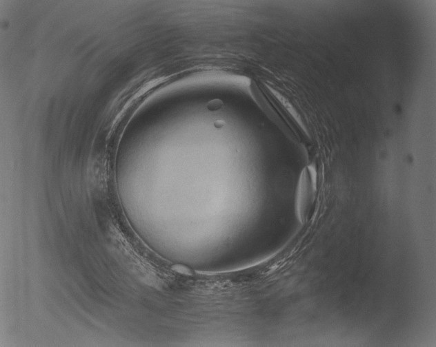 X0000053090243200507111205