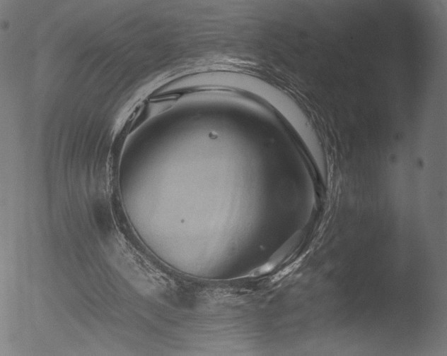 X0000053090244200507111205