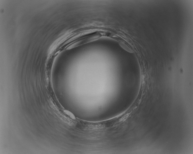 X0000053090245200507111205